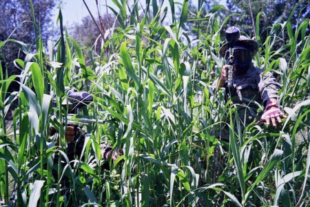 πίστα Jungle